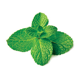 MINT