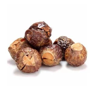 Mulberry Root